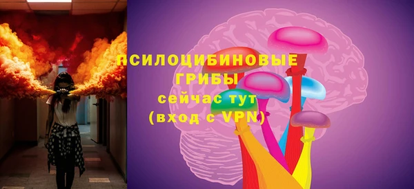 соль курить ск Горняк