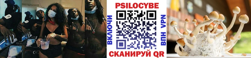 Псилоцибиновые грибы мухоморы  Купить где  Петропавловск-Камчатский 